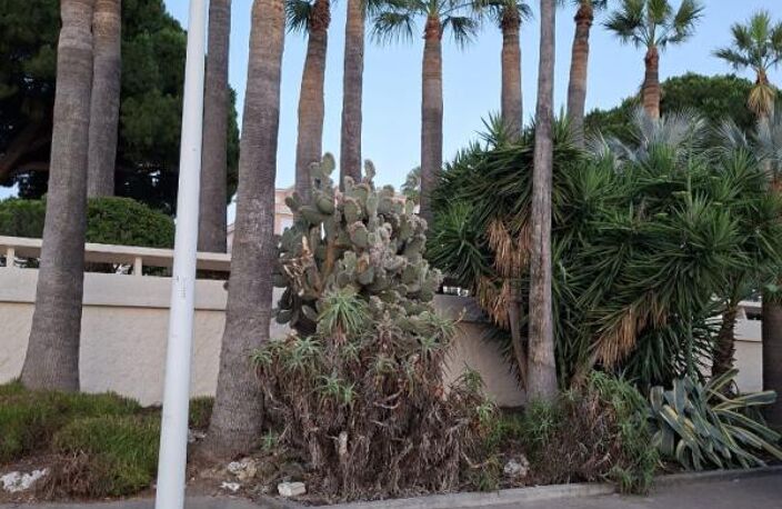 Location d un appartement  T2  de 36,75 m 2 a cannes — photo 5