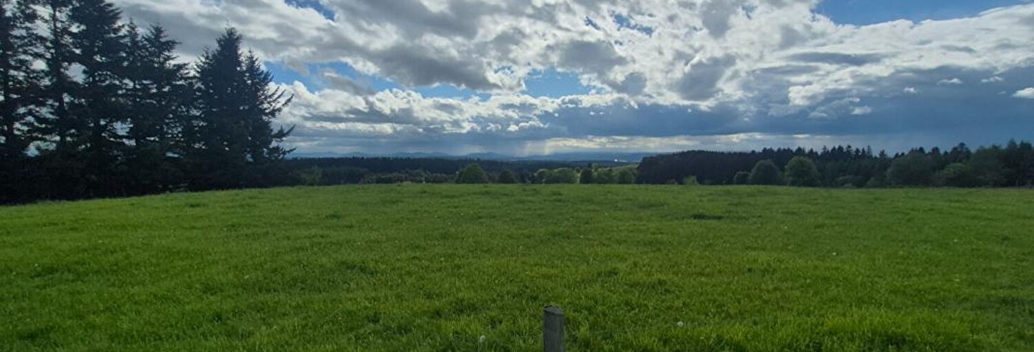 Terrain  1585 m² à vendre à Saint-Genest-Malifaux (42660)
