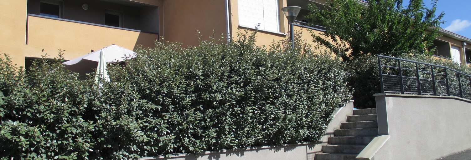 Appartement 1 Pièce 32 m² à louer à Castelginest (31780)
