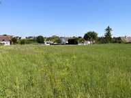 Terrain constructible pour partie, 7090 m2 — photo 3