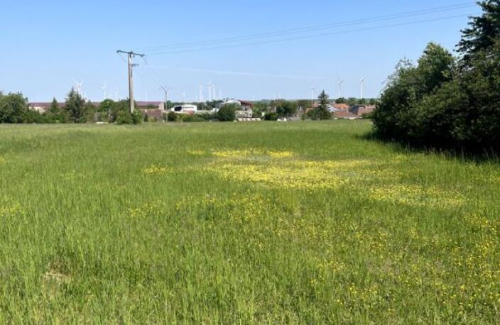 Terrain constructible pour partie, 7090 m2 — photo 4