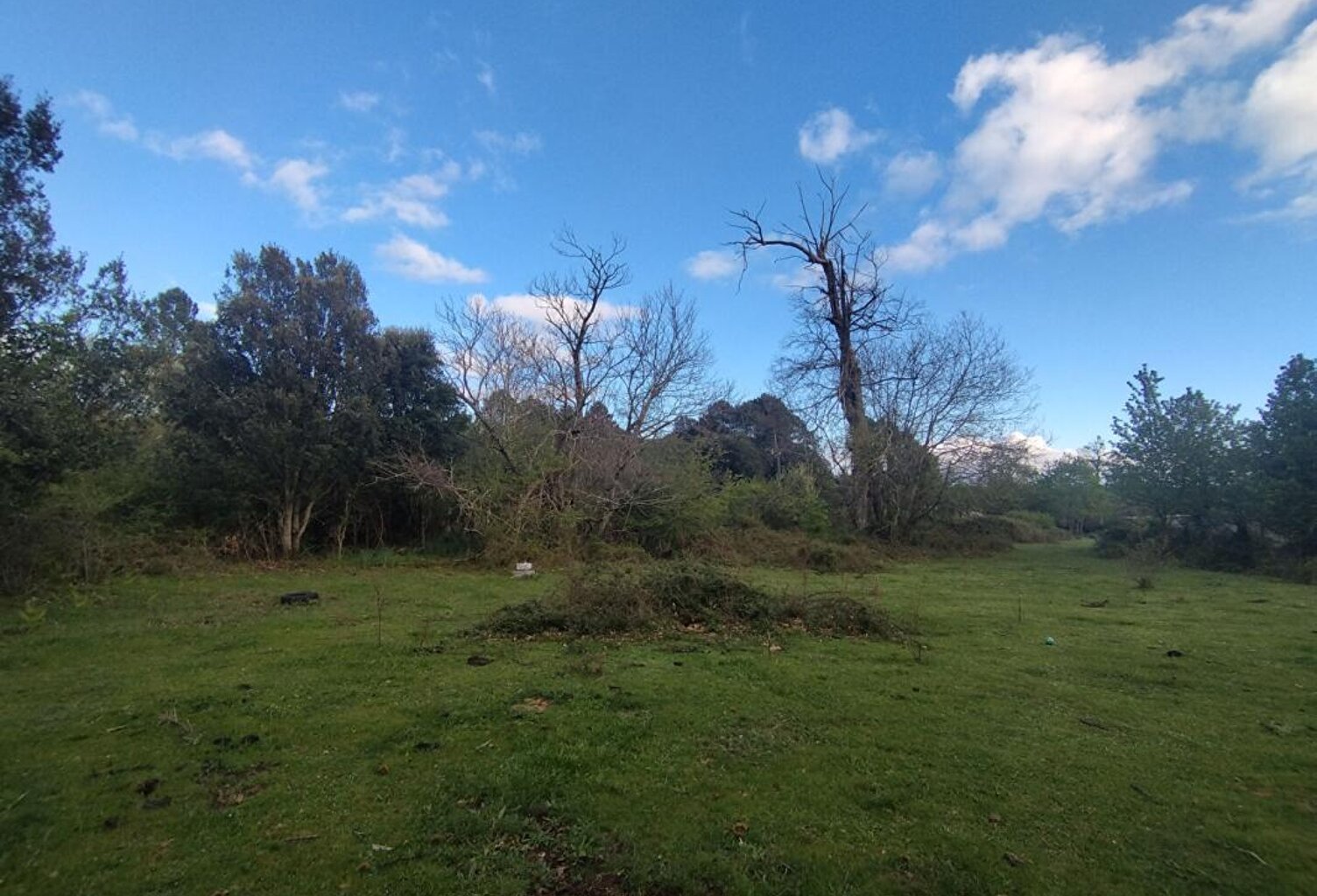 Terrain  3000 m2 - Quenza (Alta Rocca, Corse-du-Sud) — photo 1
