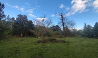 Terrain  3000 m² à vendre à Quenza (20122)