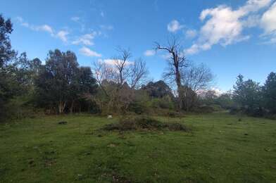 Terrain  140000 €
