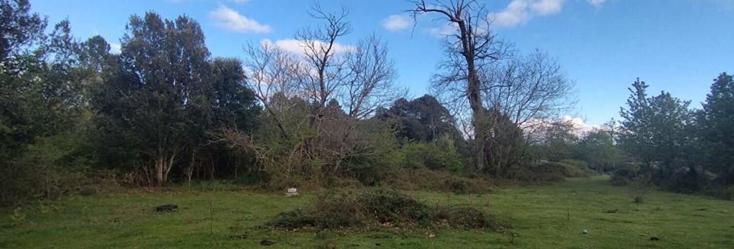 Terrain  3000 m² à vendre à Quenza (20122)