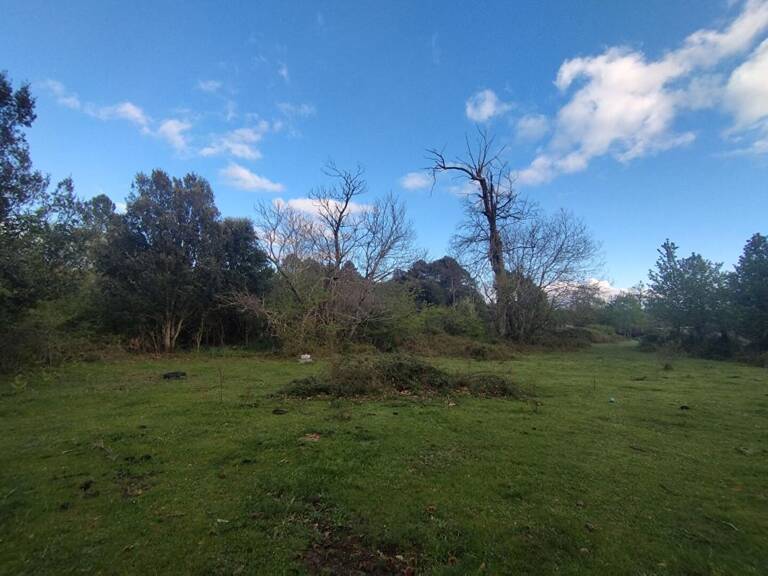 Terrain  3000 m2 - Quenza (Alta Rocca, Corse-du-Sud) — photo 1
