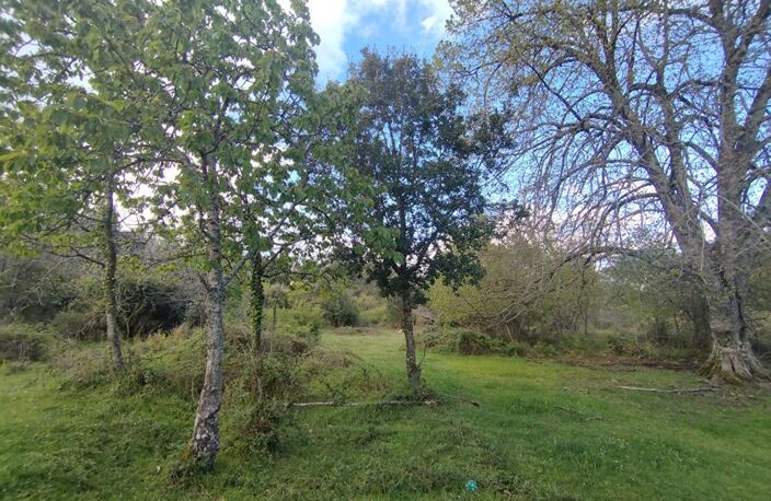 Terrain  3000 m2 - Quenza (Alta Rocca, Corse-du-Sud) — photo 2