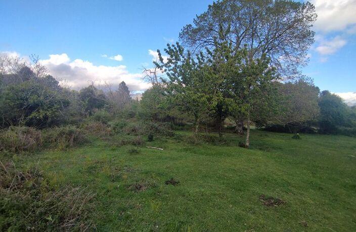 Terrain  3000 m2 - Quenza (Alta Rocca, Corse-du-Sud) — photo 3