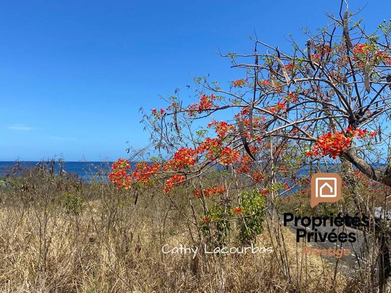EXCLUSIVITÉ : TERRAIN TOURISTIQUE AVEC VUE MER EXCEPTIONNELLE, BOUILLANTE-Guadeloupe — photo 1