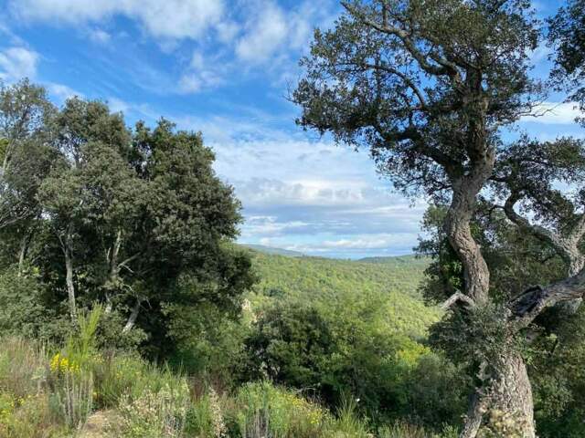 Magnifique terrain constructible de 996 m² à petit prix dans les hauteurs d'un petit village chaleureux — photo du bien