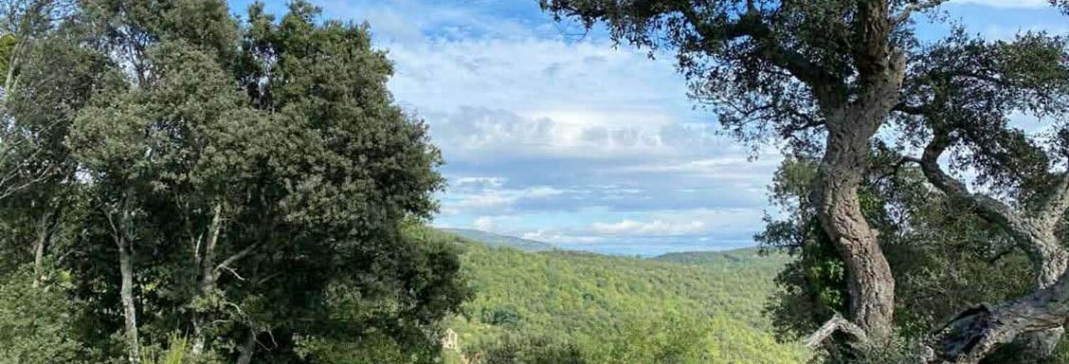 Terrain  996 m² à vendre à Taillet (66400)