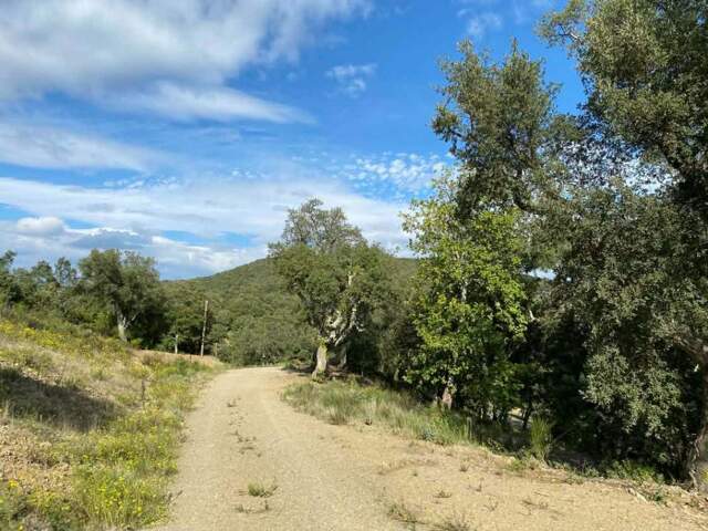 Incroyable Terrain constructible de 1147 m² en pente avec vue incroyable dans un petit village proche de Ceret — photo du bien