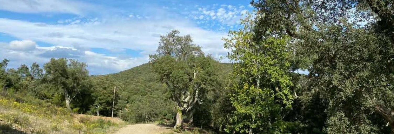 Terrain  1147 m² à vendre à Taillet (66400)