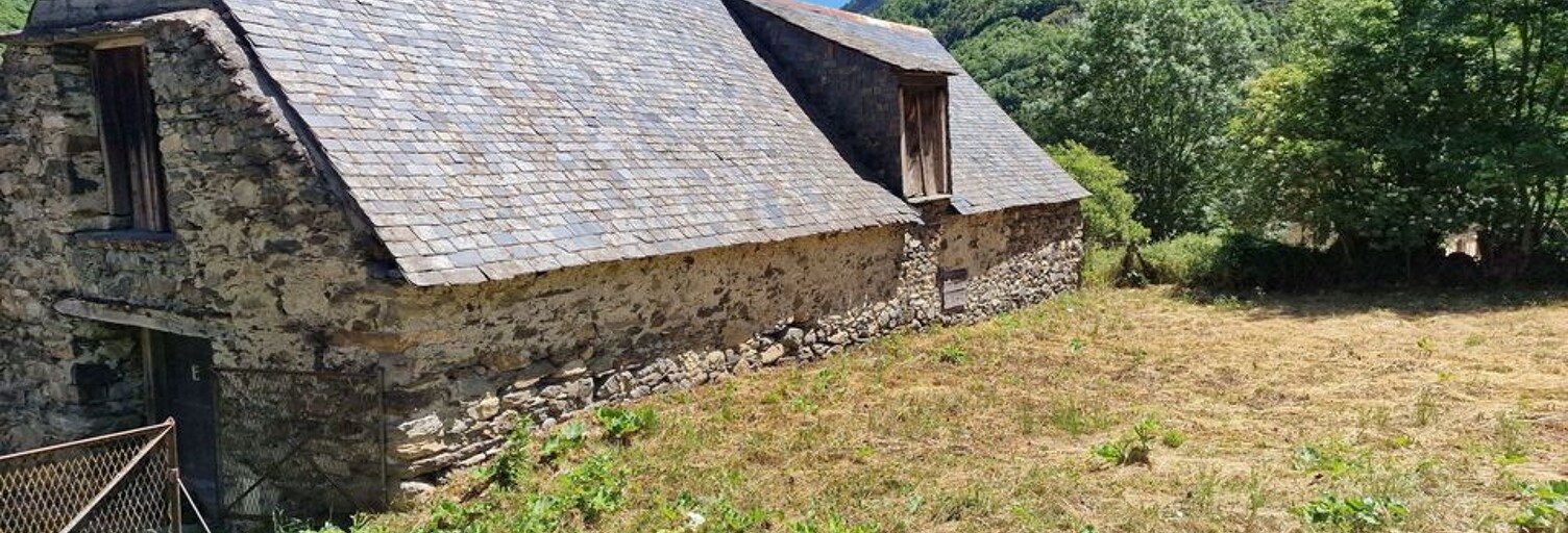Divers 2 Pièces 165 m² à vendre à Tramezaïgues (65170)