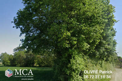 Terrain  42500 €