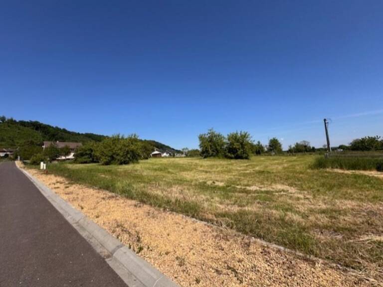 À vendre – Terrain à bâtir viabilisé de 1495 m² à Brandeville (55150) Proche Belgique - Luxembourg — photo 1