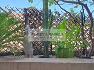 APPARTEMENT - T4 ST MARTIN DU VAR — photo 4