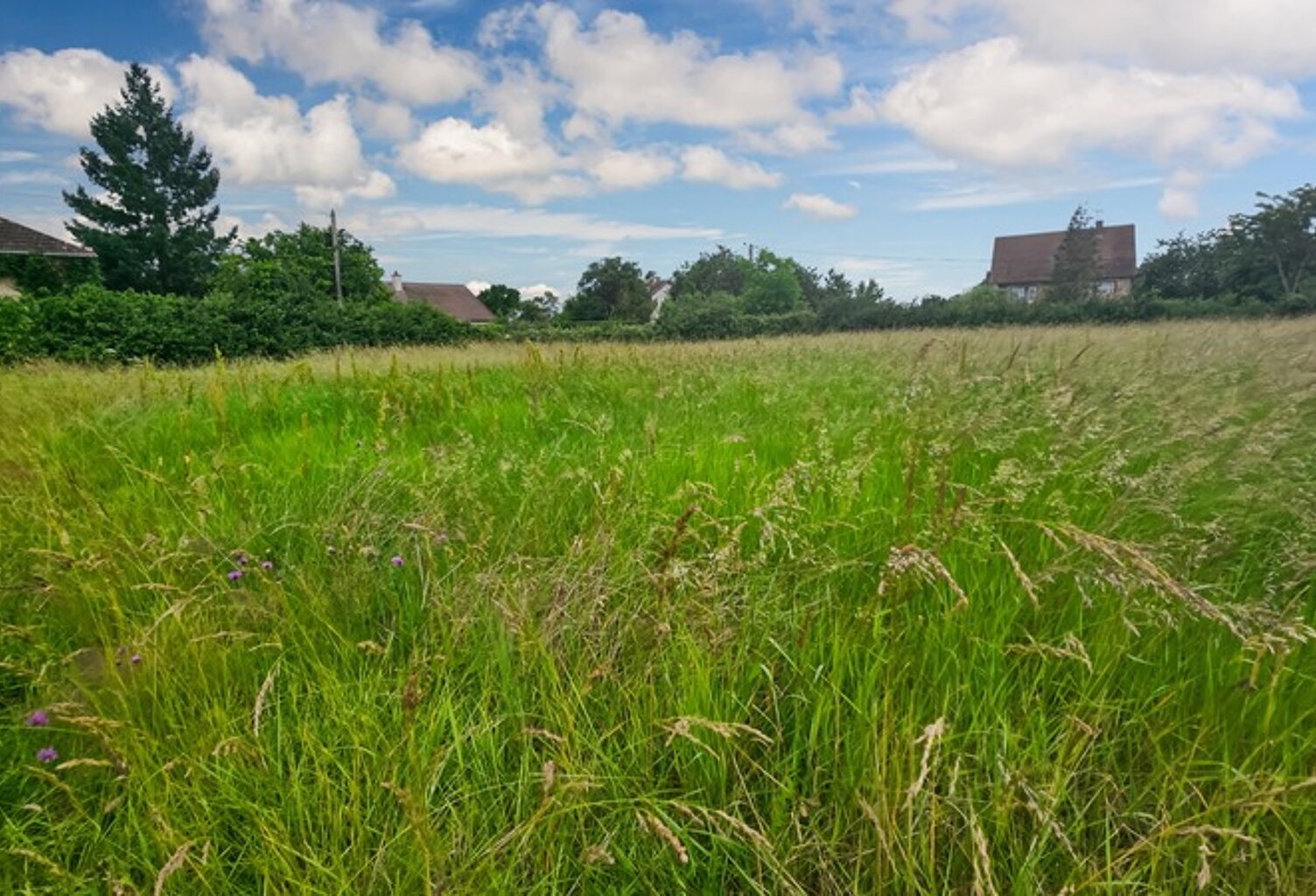 Terrain à vendre de 794,00 m² SOUVIGNY (03) — photo 1