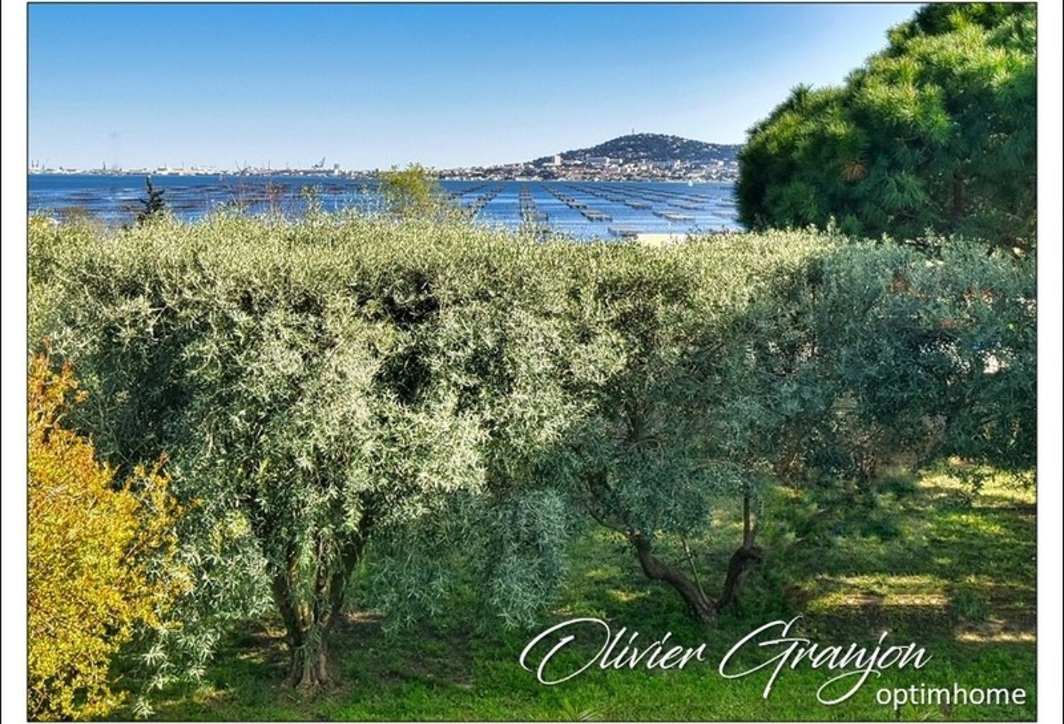 Bouzigues – Vue exceptionnelle sur le Mont Saint-Clair — photo 1