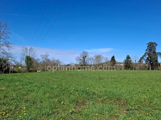SAUVETERRE DE BEARN — photo du bien