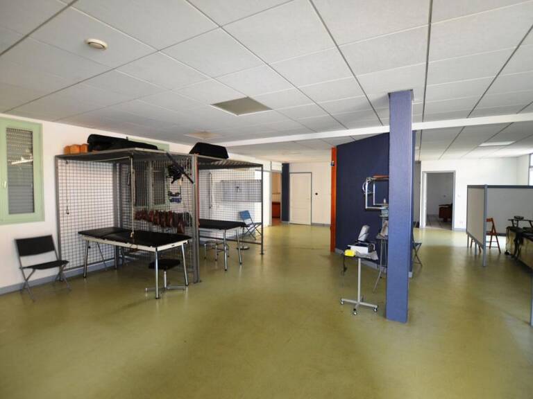 A vendre en exclusivité sur Auch (32): local commercial ou professionnel de 160m² avec place de stationnement privée — photo 1