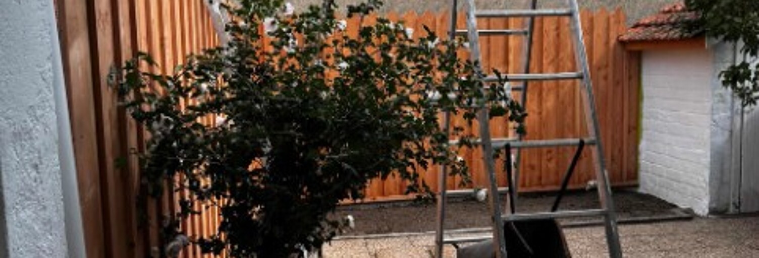 Photo N° 2