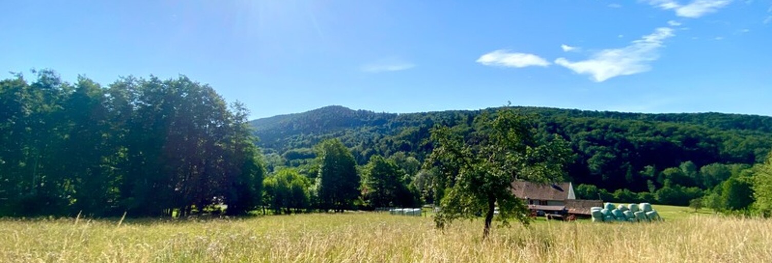 Terrain  4300 m² à vendre à Vescemont (90200)