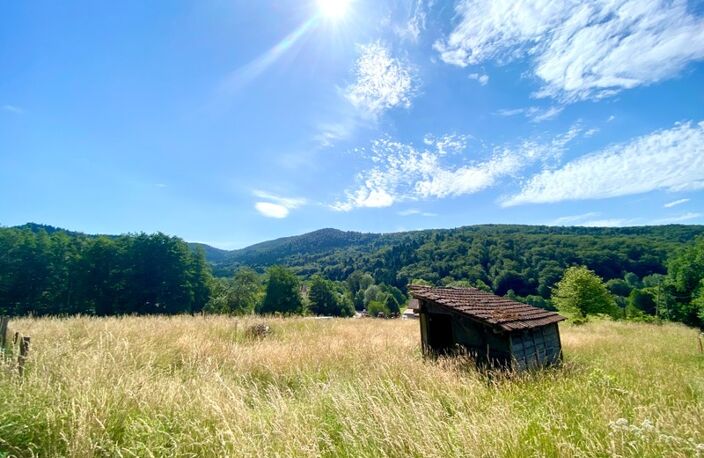 Terrain à vendre  VESCEMONT (90) — photo 2