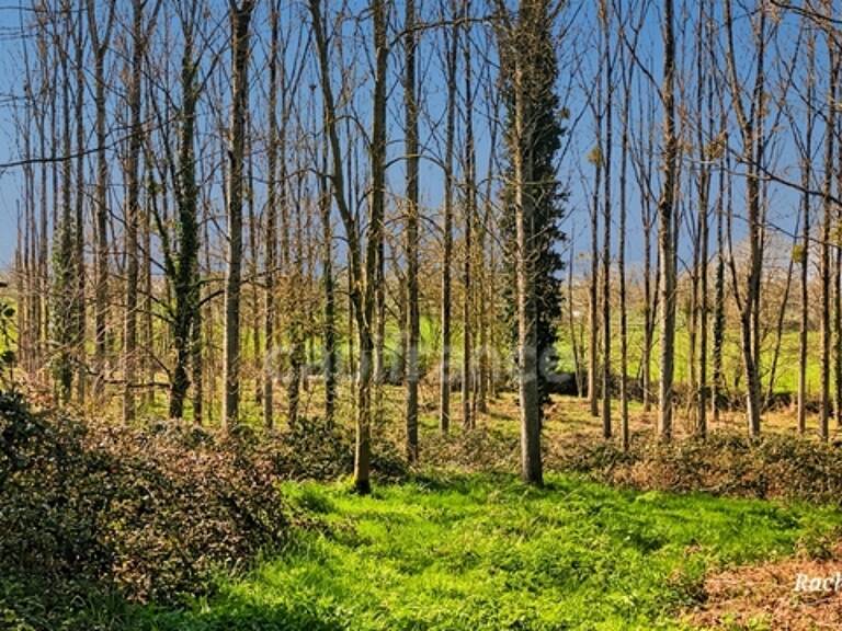 A VENDRE TERRAIN DE LOISIR A PANCE (35) — photo 1
