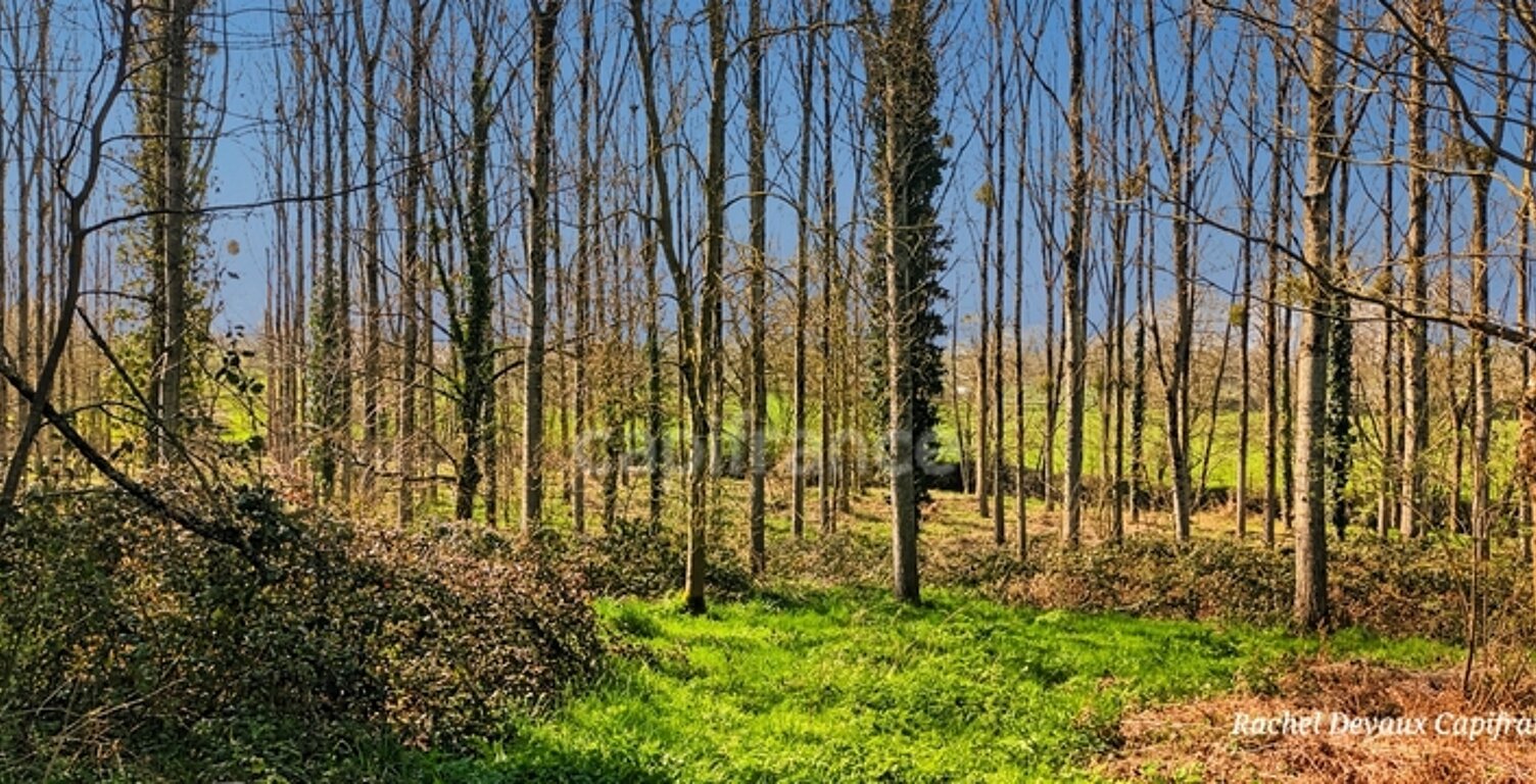 A VENDRE TERRAIN DE LOISIR A PANCE (35) — photo 1