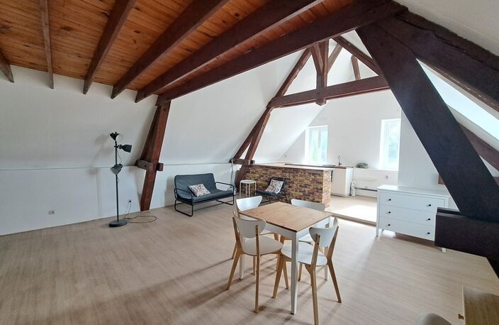 Appartement à louer 1 pièces proche de SOISSONS (02) — photo 4