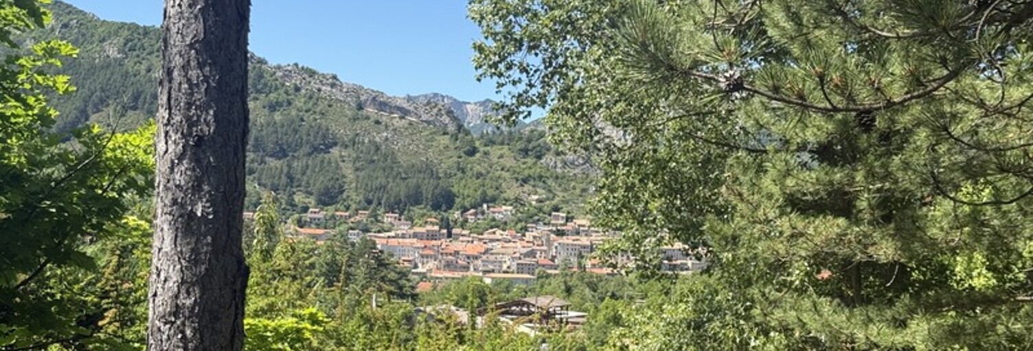 Photo N° 2