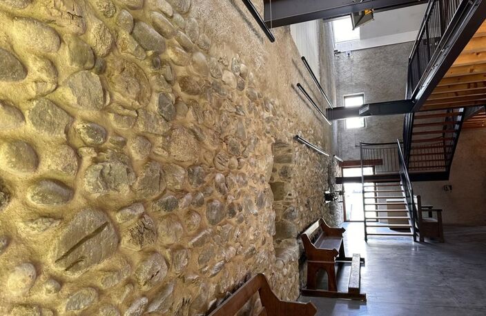 💎 RARE & HISTORIQUE : Domaine d'Exception de 1840 – au cœur de Saint-Julien et aux portes de Genève ; avec local professionnel ou commercial — photo 3
