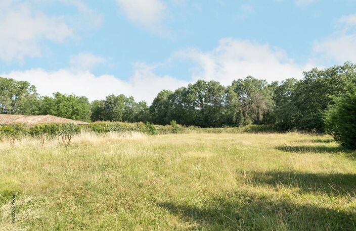 Maison T4 de 160m² à Bouloc – Pièce de vie 76m², terrain 2800m² au calme — photo 4