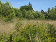 MARSEILLETTE : TERRAIN 1426 m2  SURFACE DE CONSTRUCTION NON REGLEMENTEE — photo 2