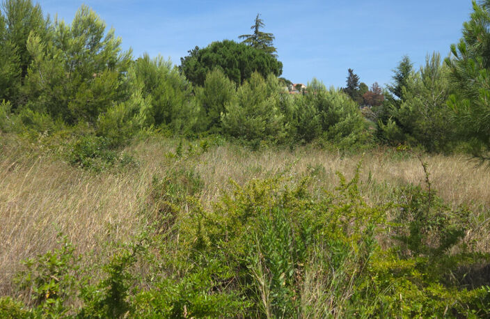 MARSEILLETTE : TERRAIN 1426 m2  SURFACE DE CONSTRUCTION NON REGLEMENTEE — photo 2