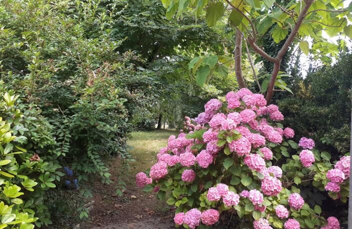 Maison 4 chambres avec jardin d'hiver et grands combles à Telgruc sur mer — photo 4