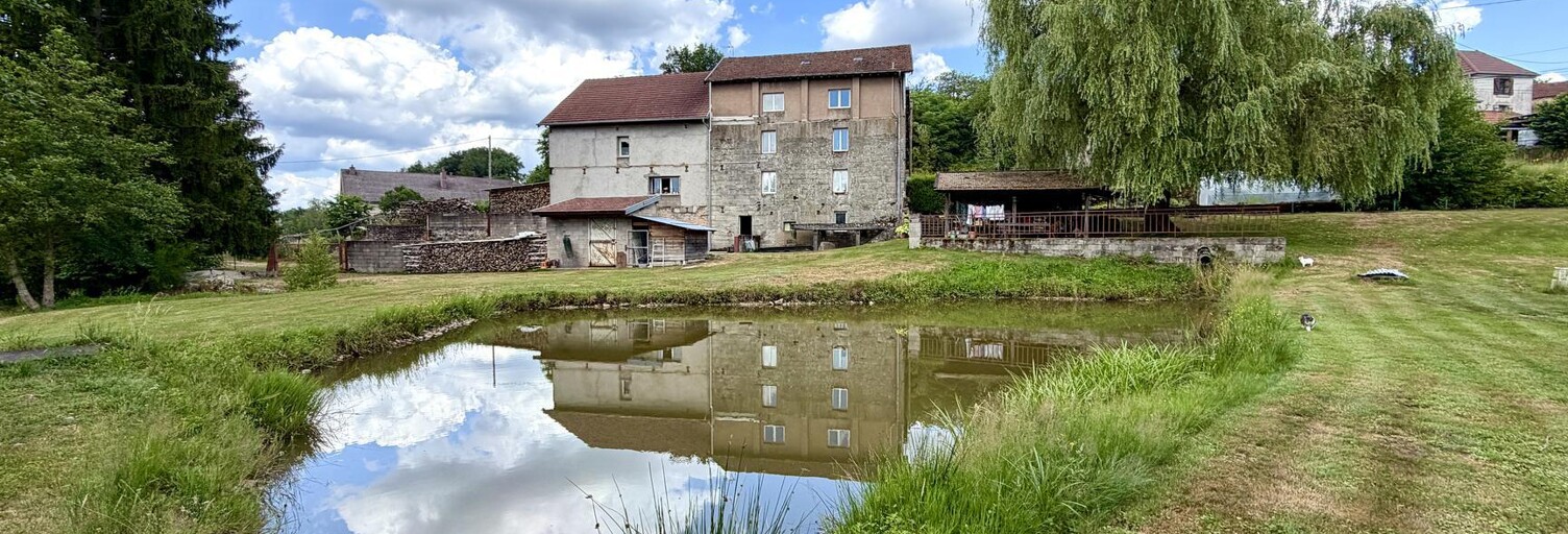 Maison 7 Pièces 170 m² à vendre à Hadol (88220)