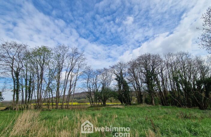 Terrain à bâtir - 2996m² - Chamouille — photo 5