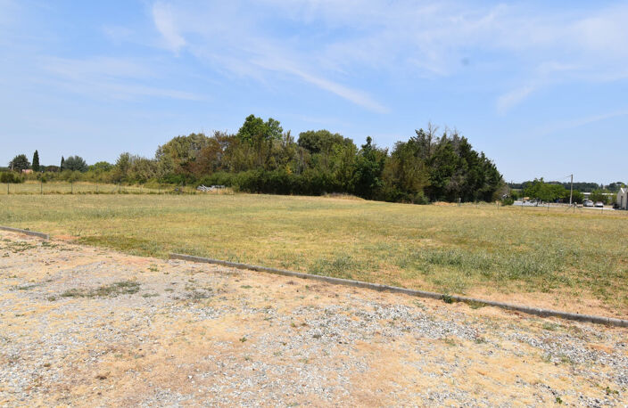 REVEL (31250) - Terrain de 3 000 m2 à vendre en zone artisan — photo 2