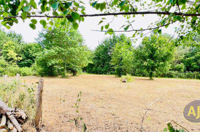 Terrain  280000 €