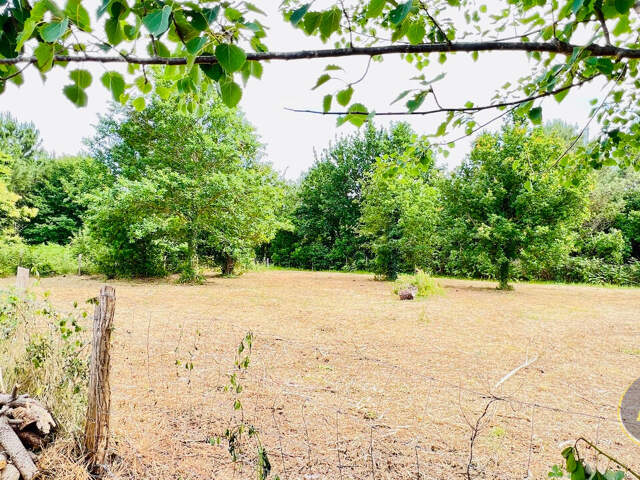 Terrain de 800 m2 à Lège — photo du bien