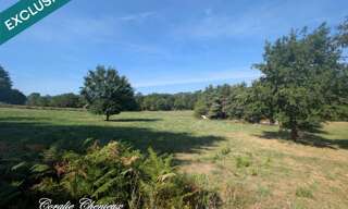 Terrain  13483 m² à vendre à Beaulieu (15270)