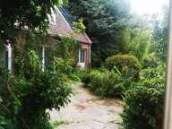 3000m² de terrain constructible — photo 4