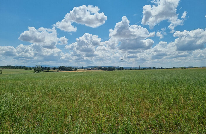 TERRAIN ST GERAND LE PUY — photo 2