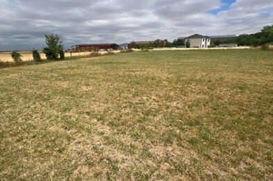 Terrain  50000 €