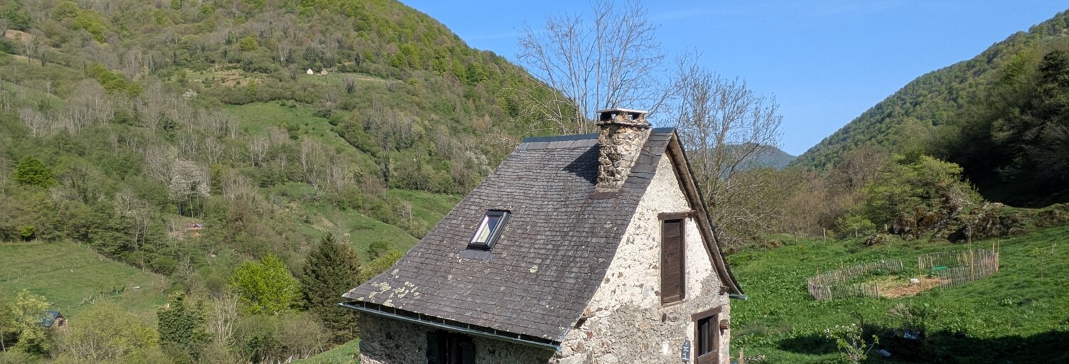 Photo N° 2