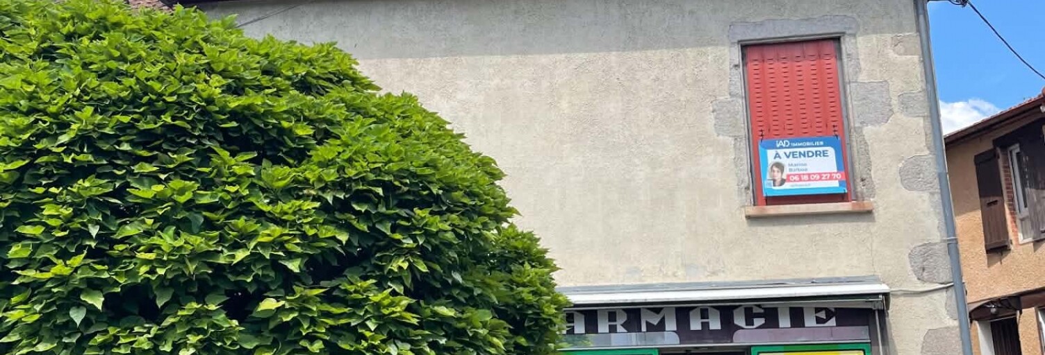 Maison 3 Pièces 153 m² à vendre à Arfeuilles (03120)