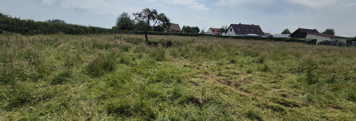 Terrain  8936 m² à vendre à Saint-Léger-aux-Bois (76340)