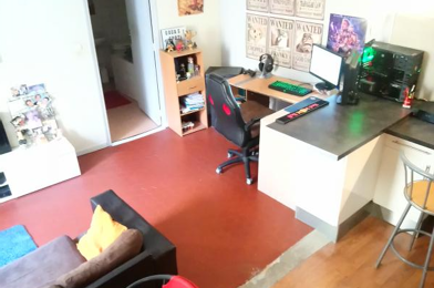 Appartement 2 pièces 480 €